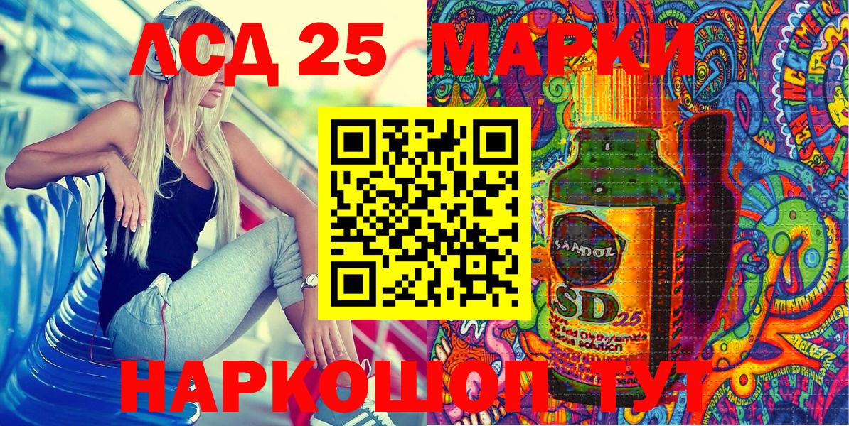 МЕФ Курчалой