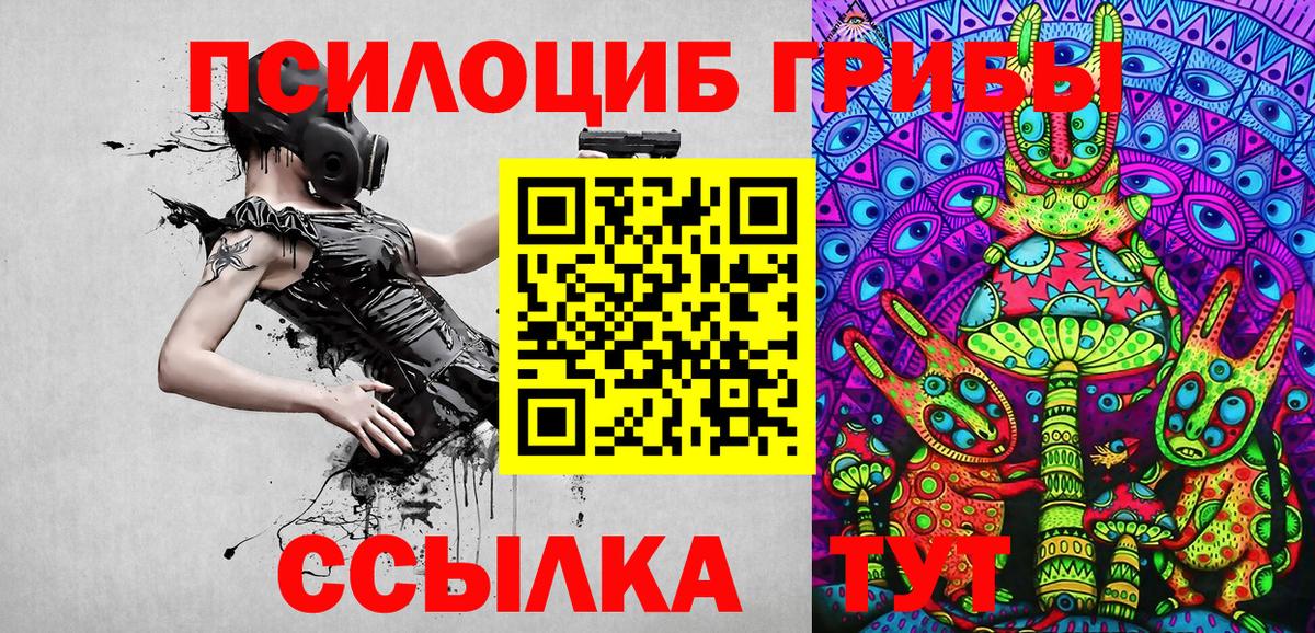Курчалой  Псилоцибиновые грибы Psilocybe  Вход с VPN 